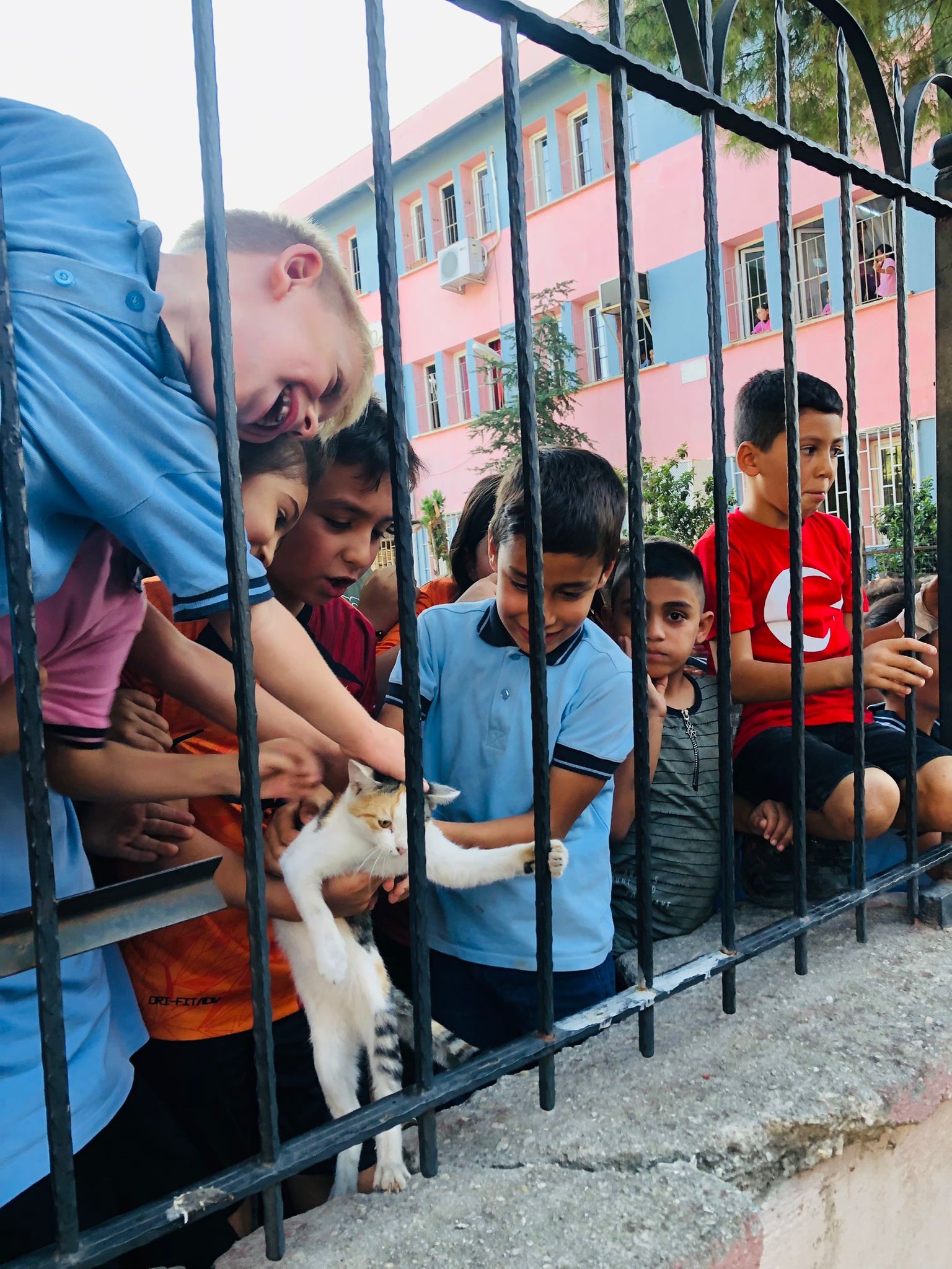 Manisa'da Ilkokul Bahçesindeki Ağaçta Mahsur Kalan Kedi Kurtarıldı2