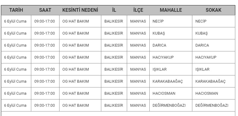 Manyas Kesinti-2