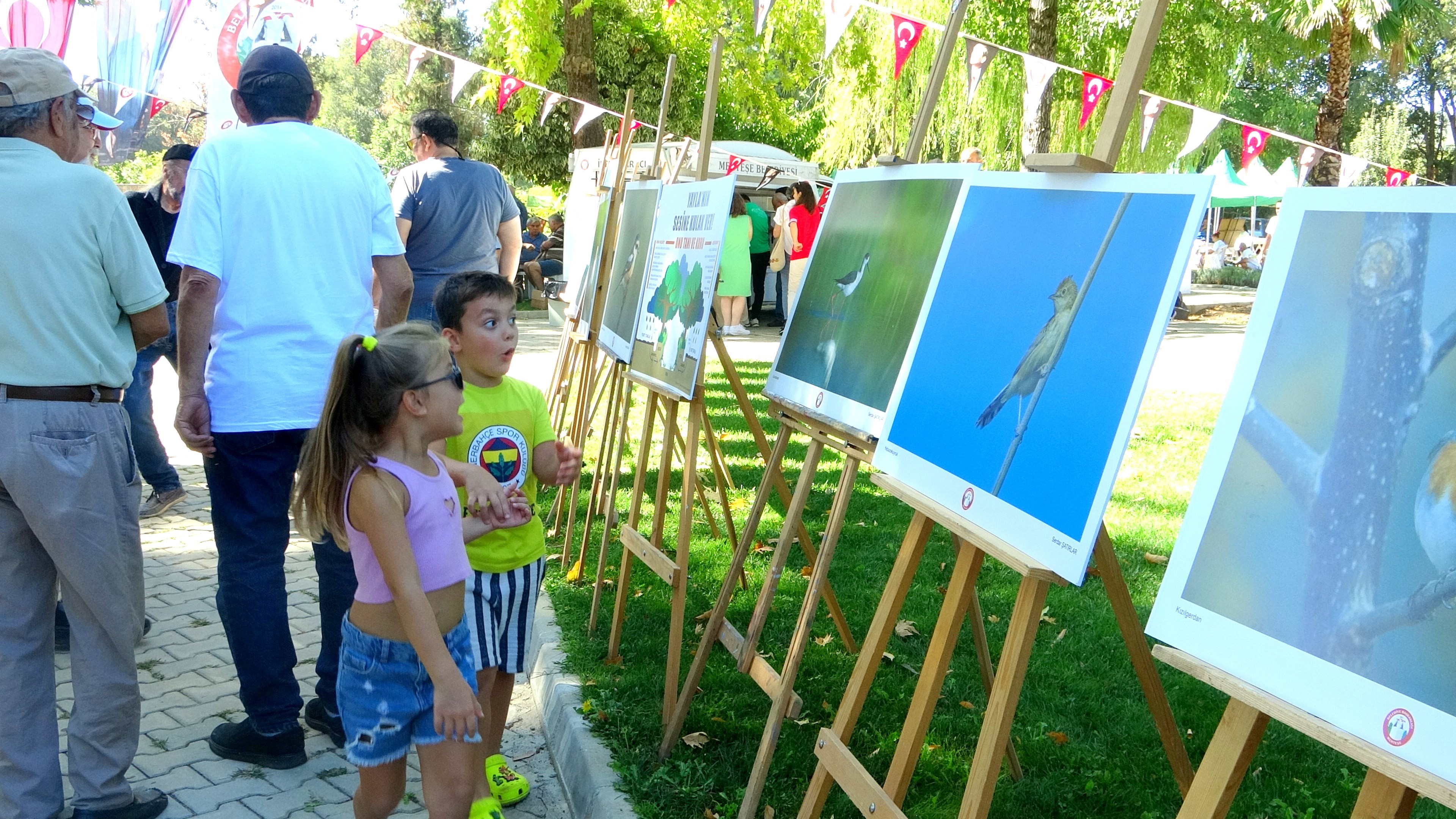 Muğla'da Renkli Anlar Kavunlar Yarıştı!1