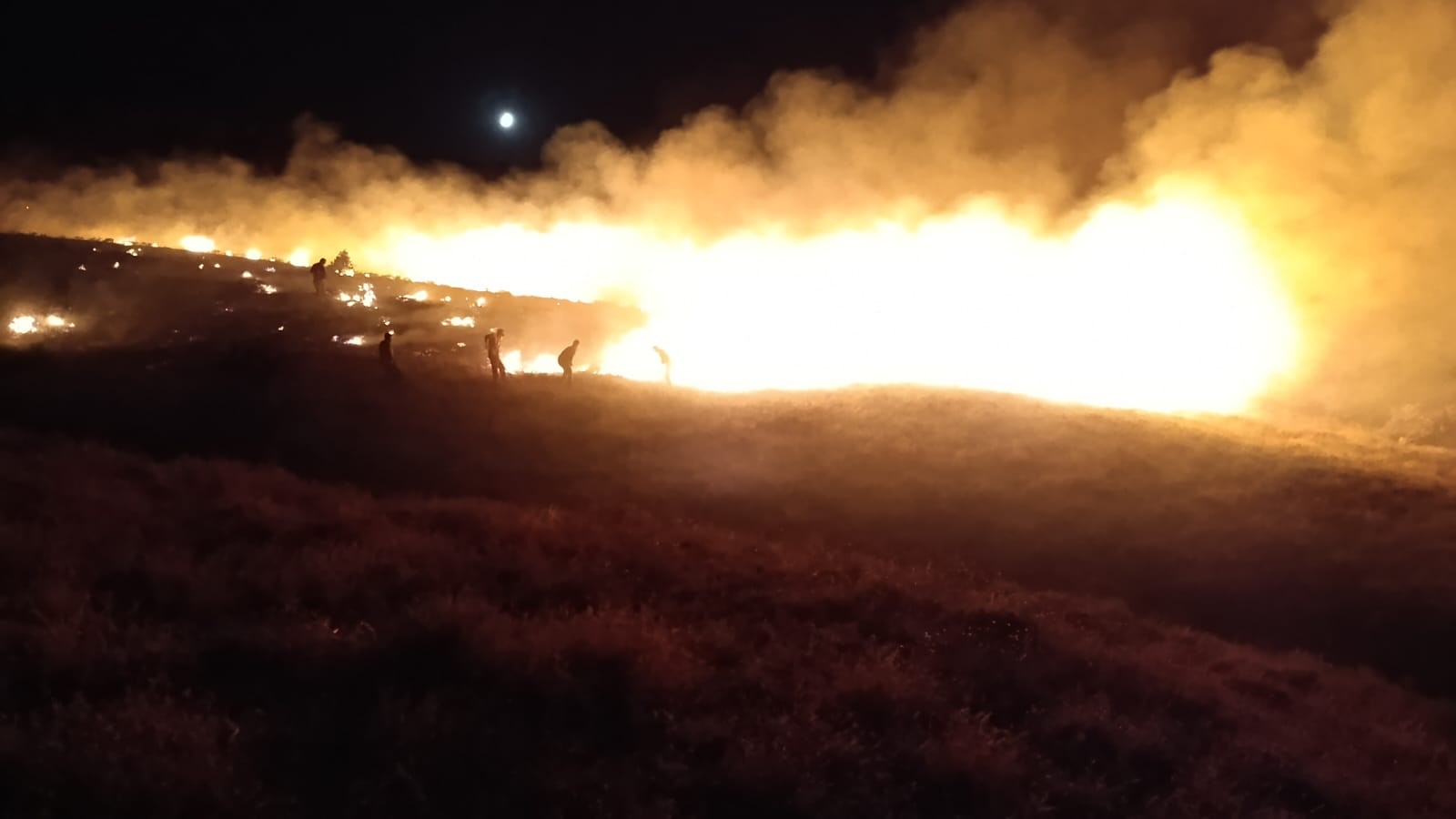 Muş'ta Üç Ayrı Orman Yangını Kontrol Altına Alındı (4)