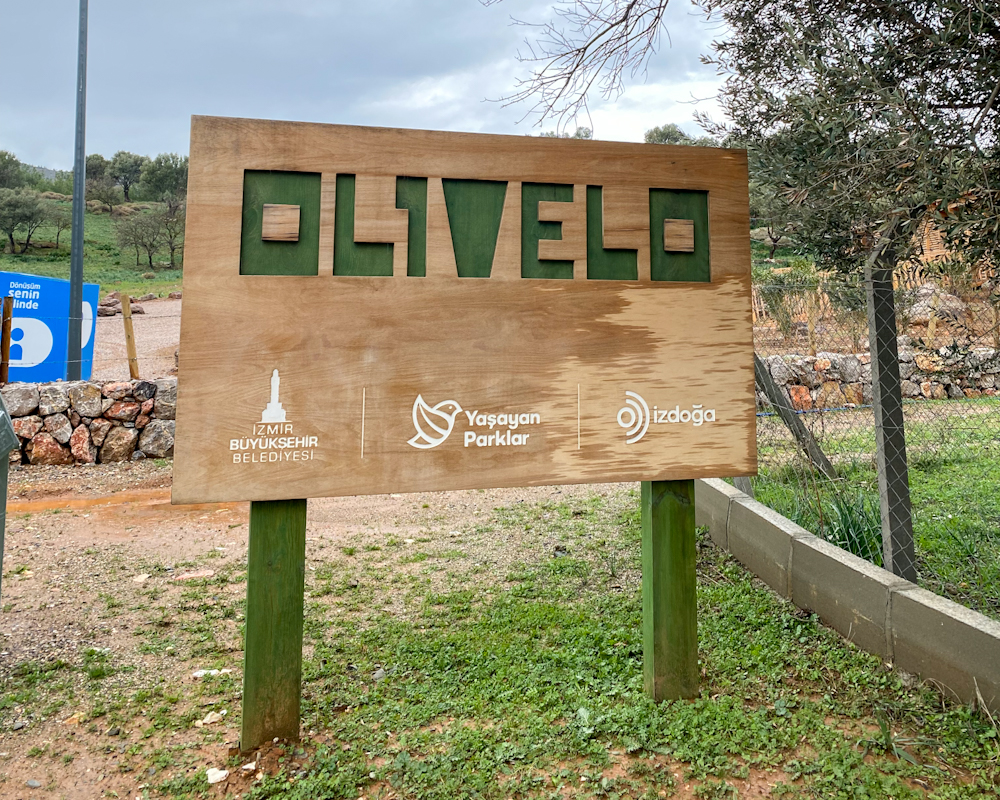 Olivelo 2