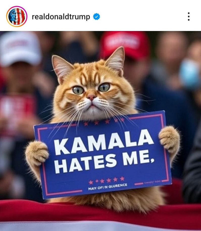 Trump Kamala