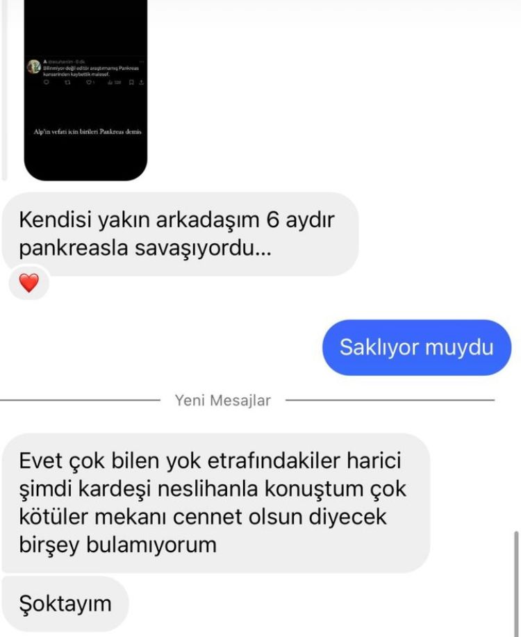 Ünlü Makyaj Sanatçısı Alp Kavasoğlu Ölümünde Pankreas Iddiası0