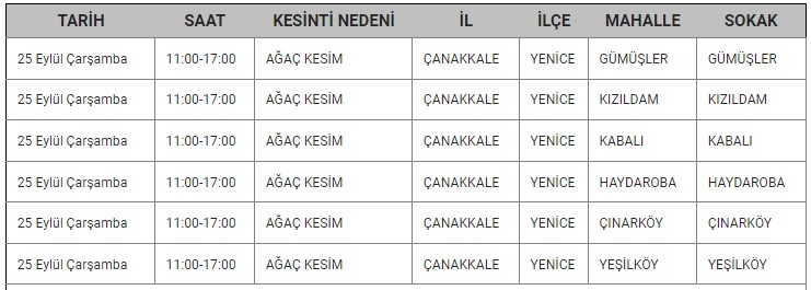 Yenice Kesinti-9