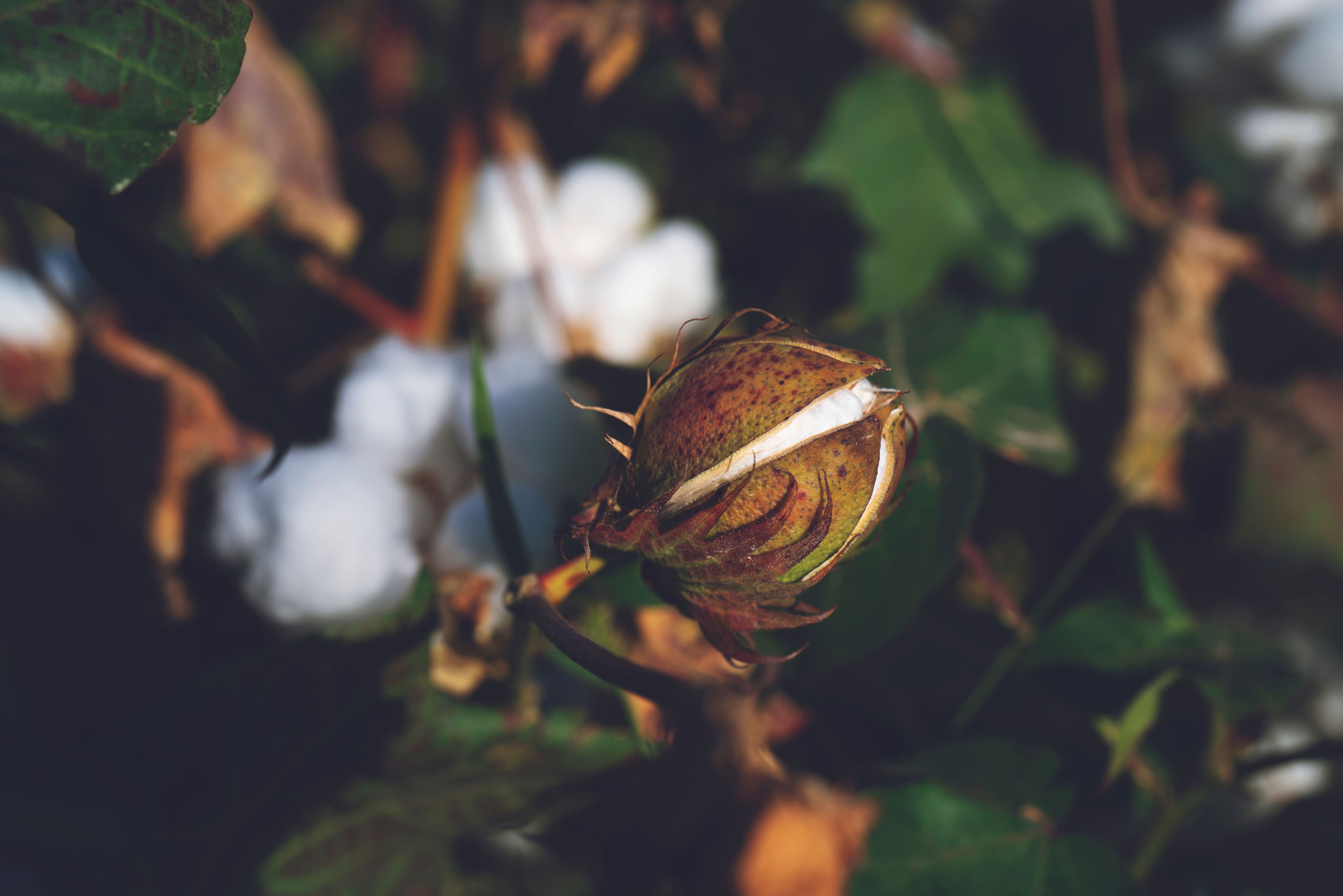 1728063367 Adobe Stock 298120666