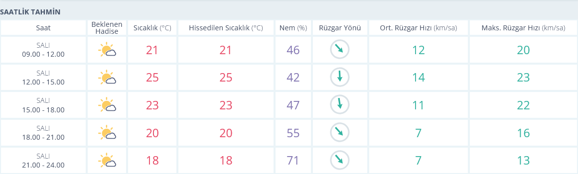 29 Ekim Izmir Hava Durumu Saatlik