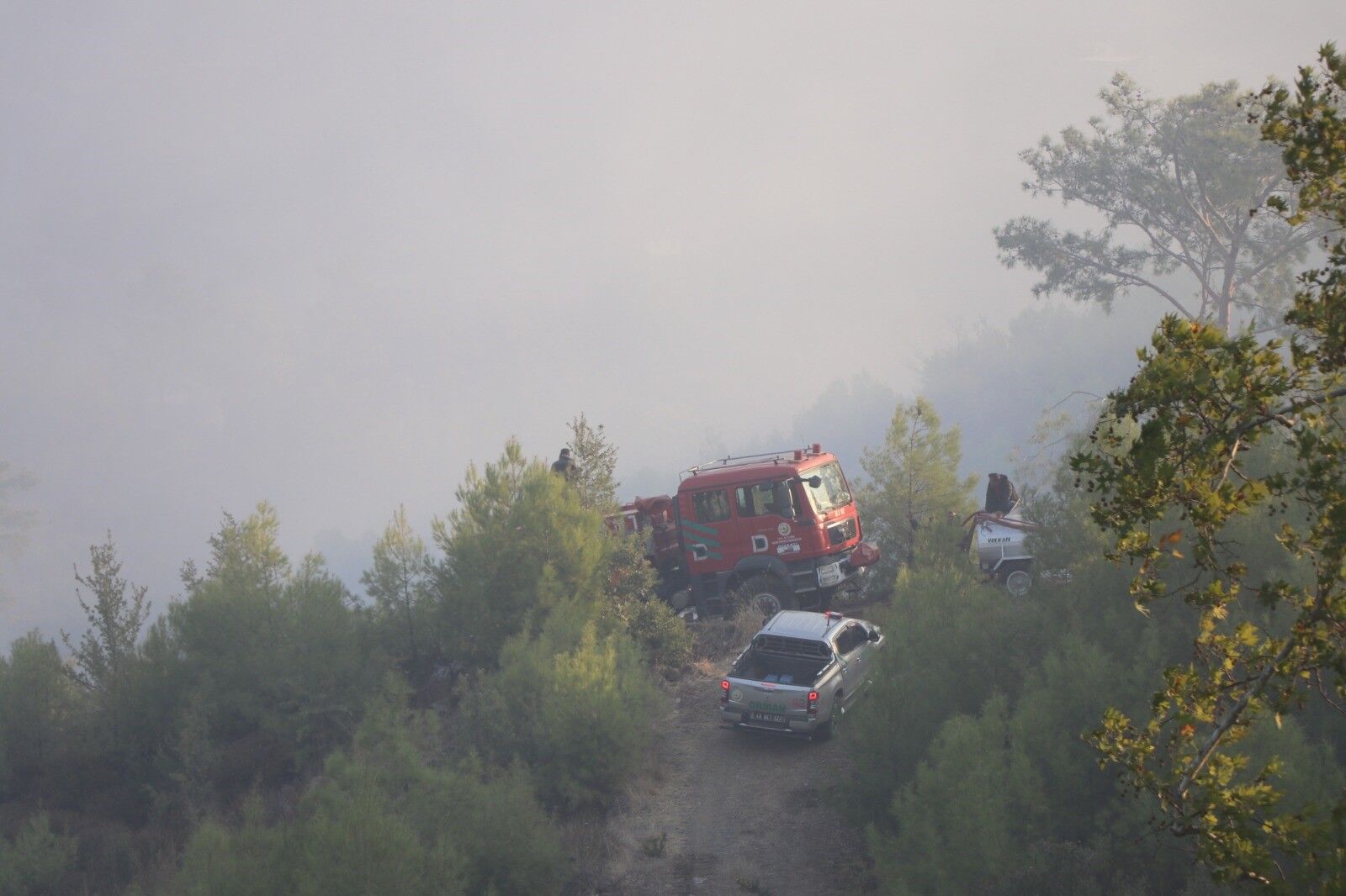 A W311630 01