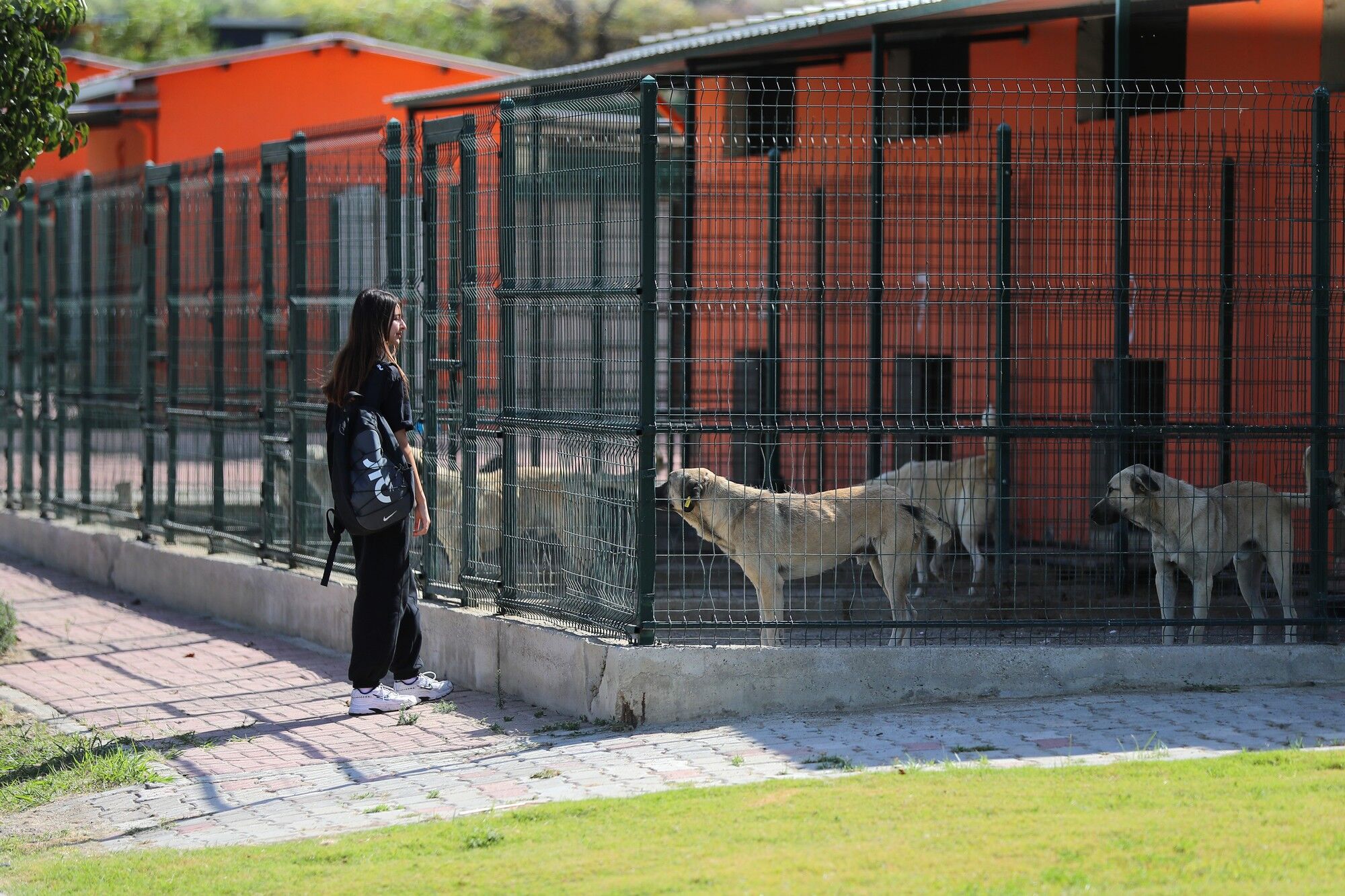 Aliağalı Öğrencilerden Pati Park’a Ziyaret (2)