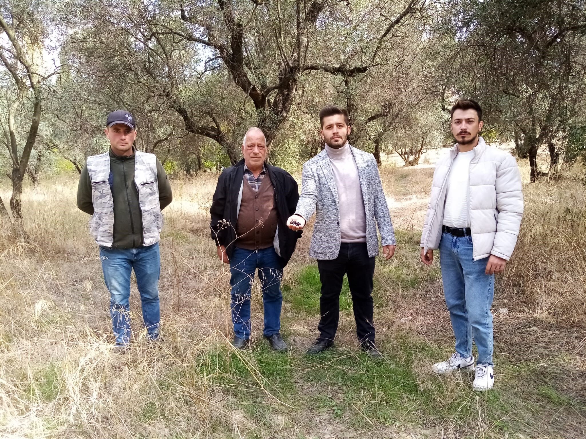 Balıkesir'de Su Zeytini Üretiminde Kuraklık Tehlikesi0