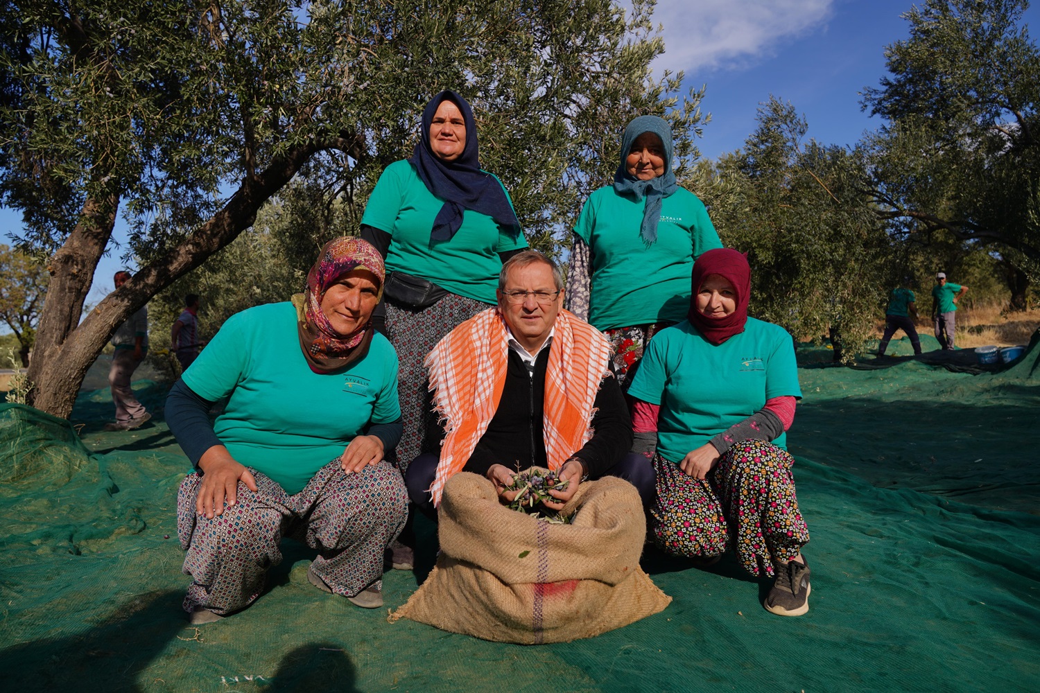 Beledi̇ye Zeyti̇nli̇kleri̇nde İlk Hasat Başkan Mesut Ergi̇n’den (3)