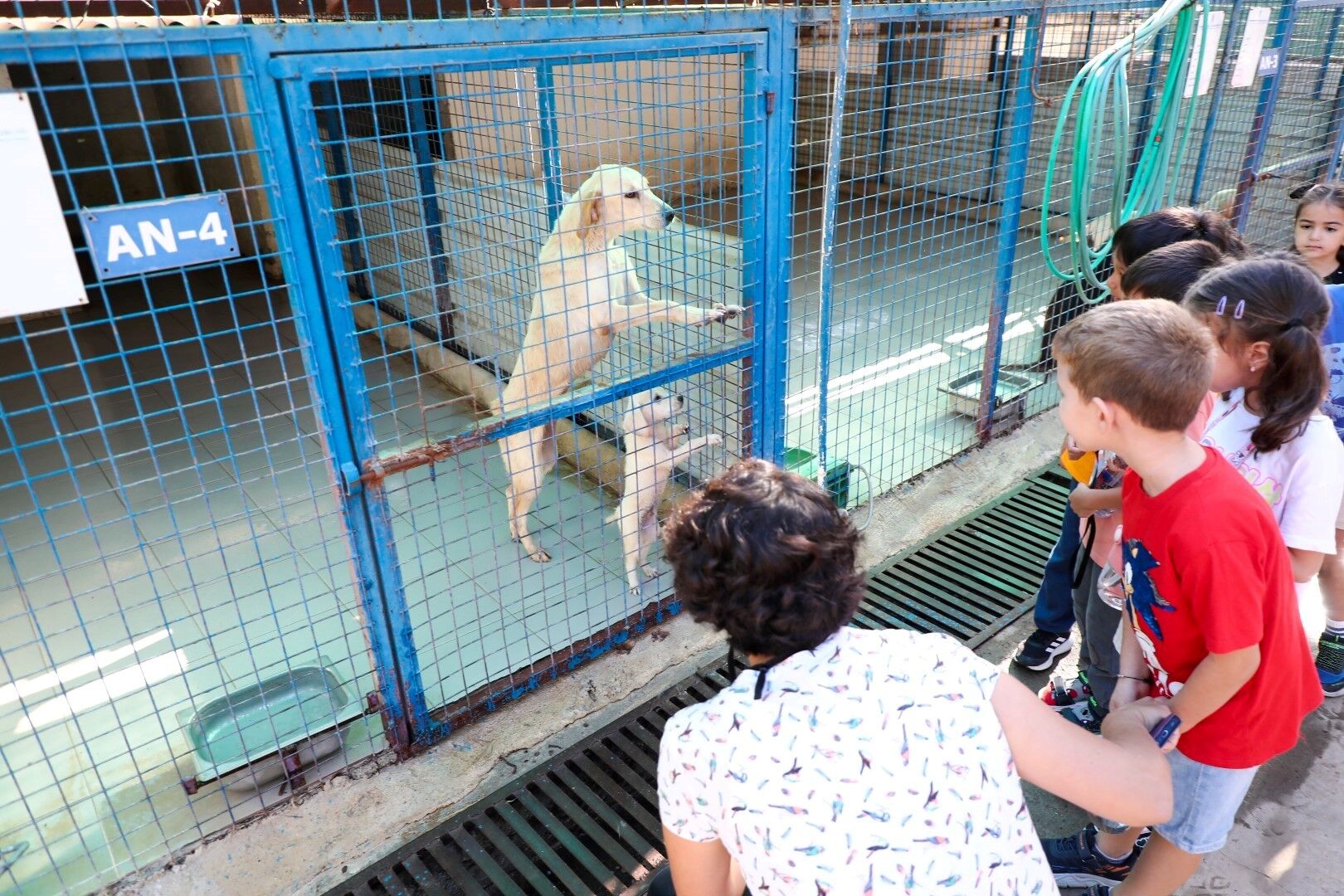 Bodrum’da Öğrencilerden Anlamlı Hayvan Koruma Günü Ziyareti (6)