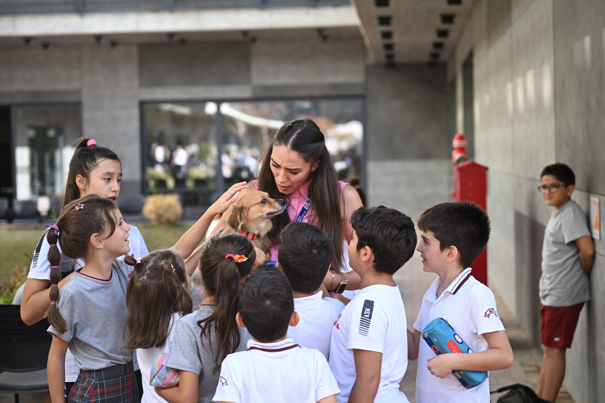 Bornova (1)