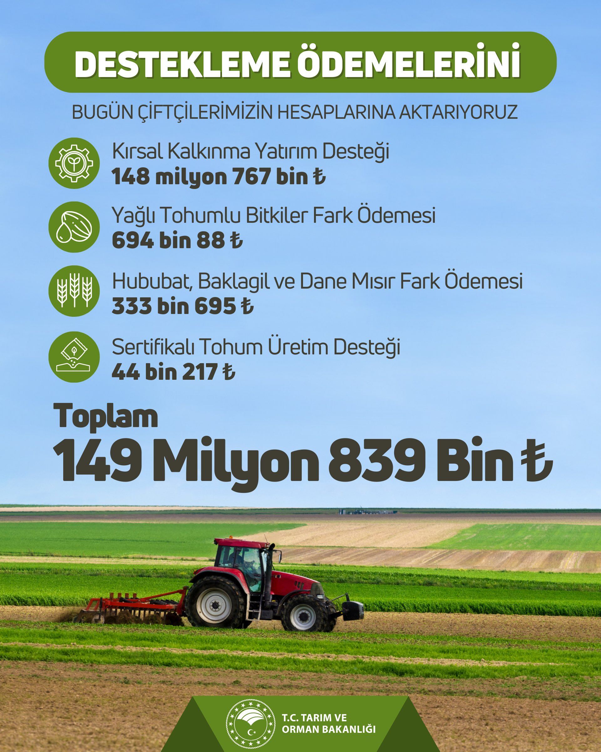 Çitfçi
