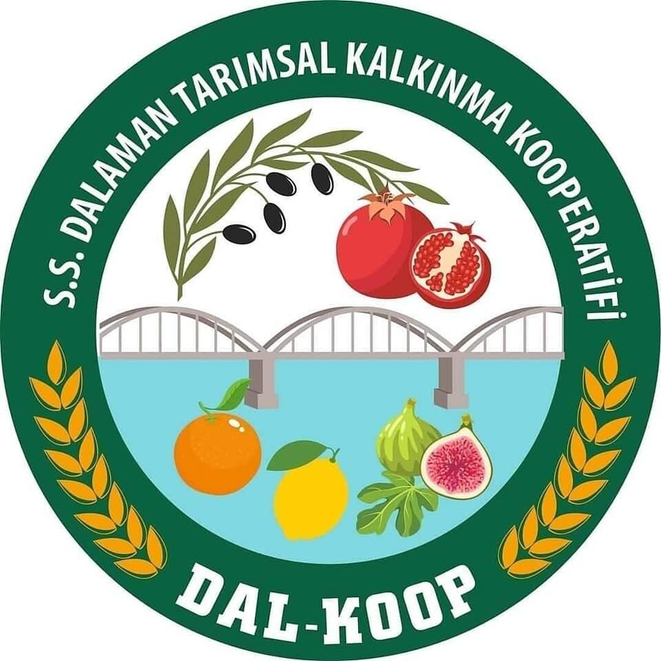 Dalaman Kooperatif