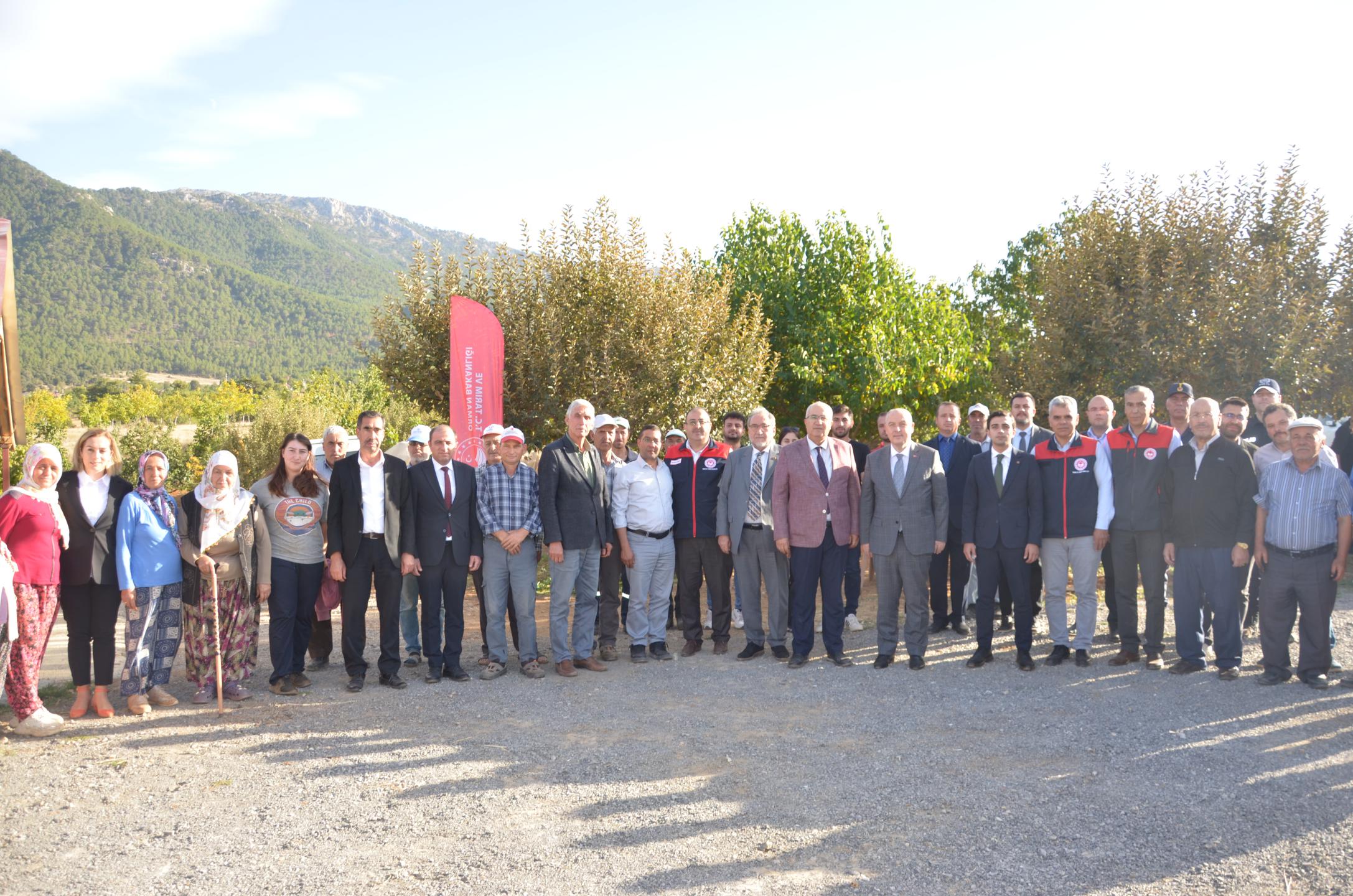 Denizli’de Ceviz Hasadı Başladı Üretimde %46 Artış Bekleniyor1