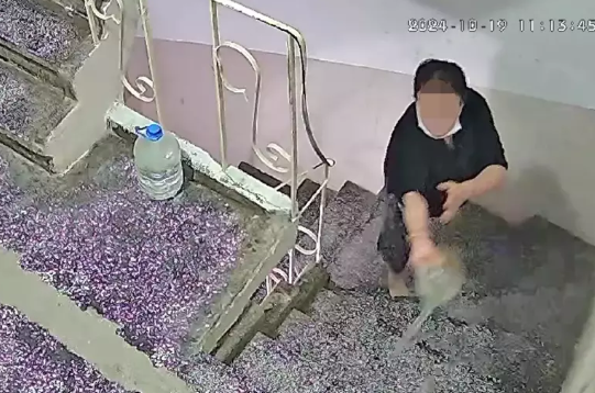 Ekran Görüntüsü 2024 10 29 182854