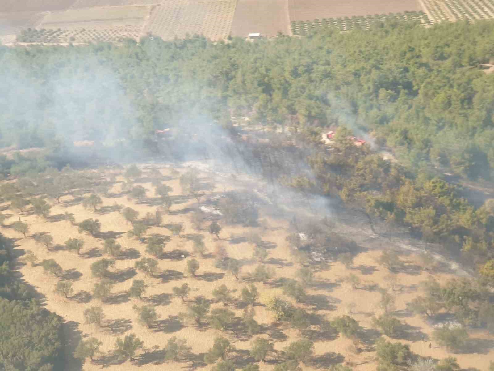 İzmir Kınık’taki Orman Yangını Söndürüldü Mü Yangınla Ilgili Son Durum