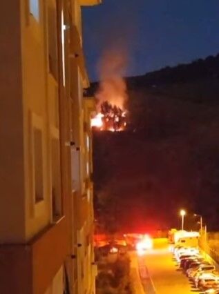 İzmir Üçkuyular’da Orman Yangını!1