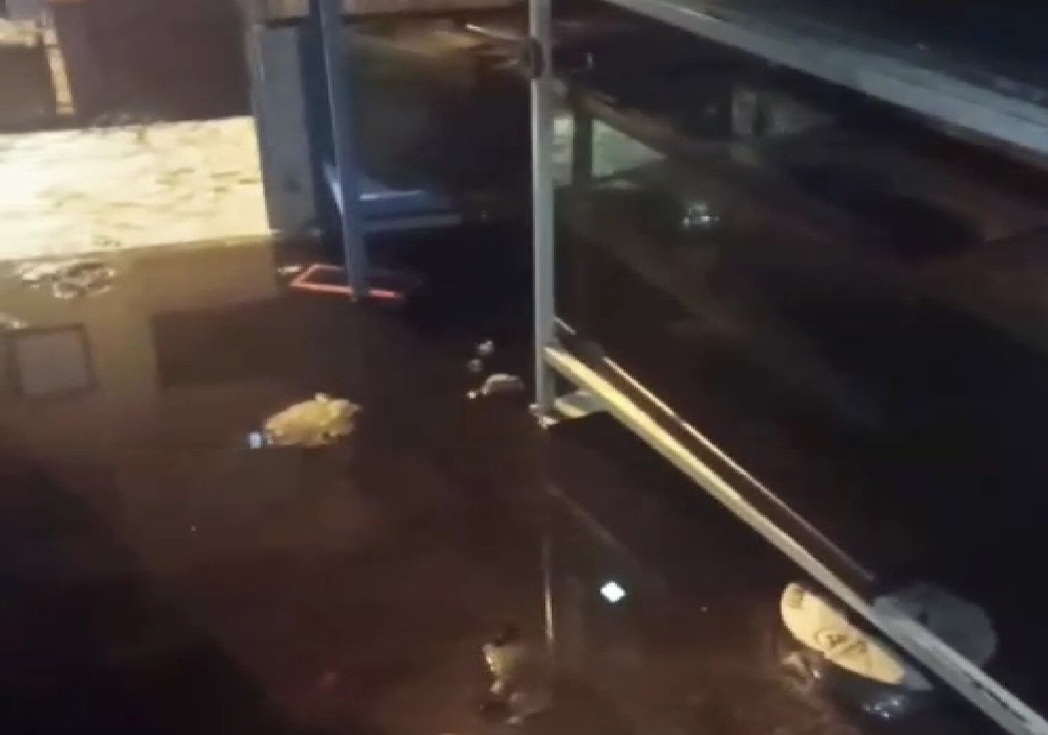 Kayseri'de Pet Shop Yangını Hayvanlar Telef Oldu