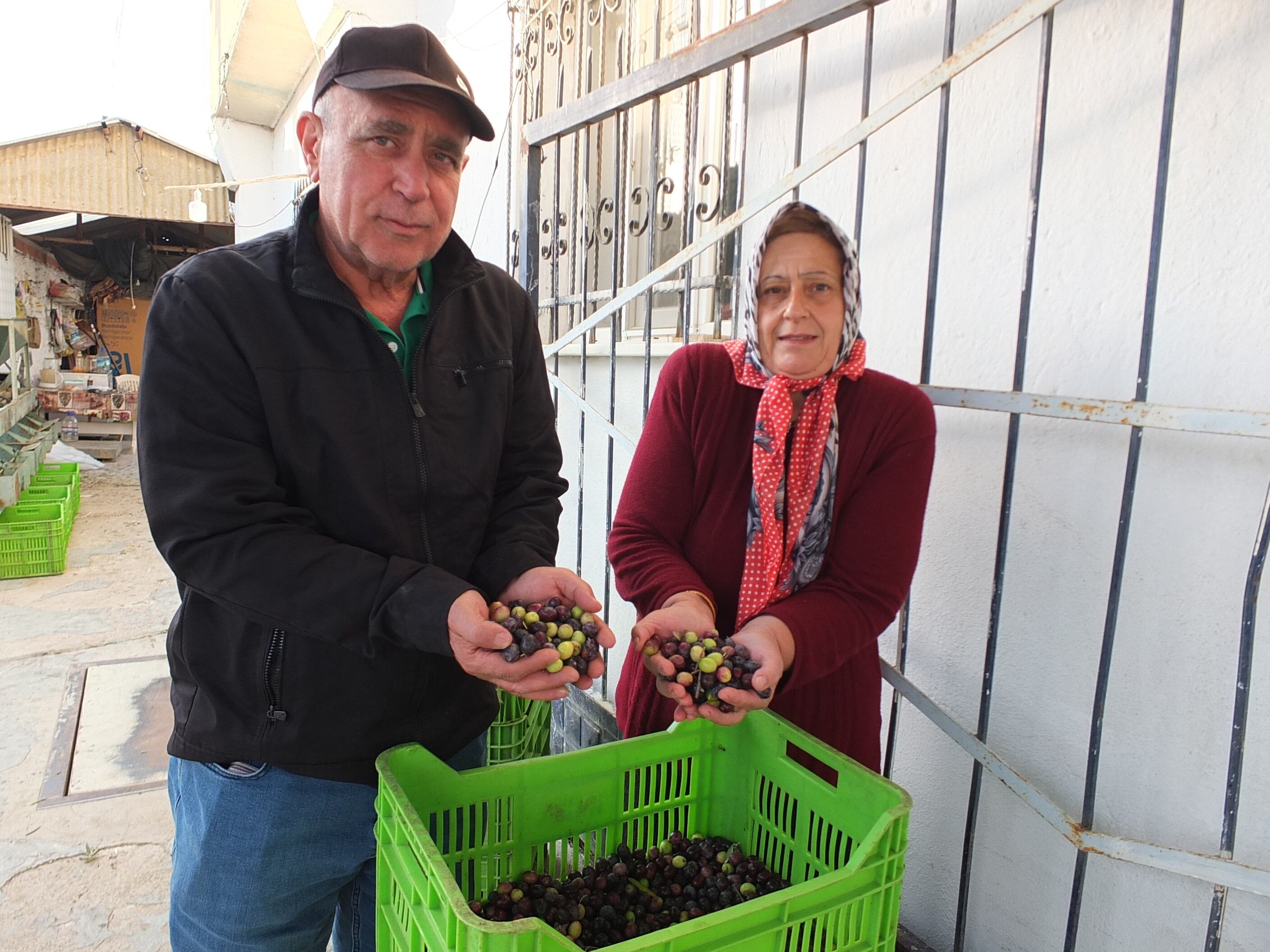 Kuraklık Ve Düşük Fiyatlar Üreticiyi Zorluyor (4)