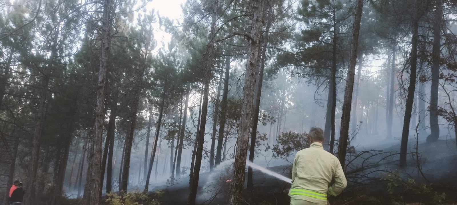 Kütahya'da Orman Yangını 3 Saat Içinde Kontrol Altına Alındı (2)