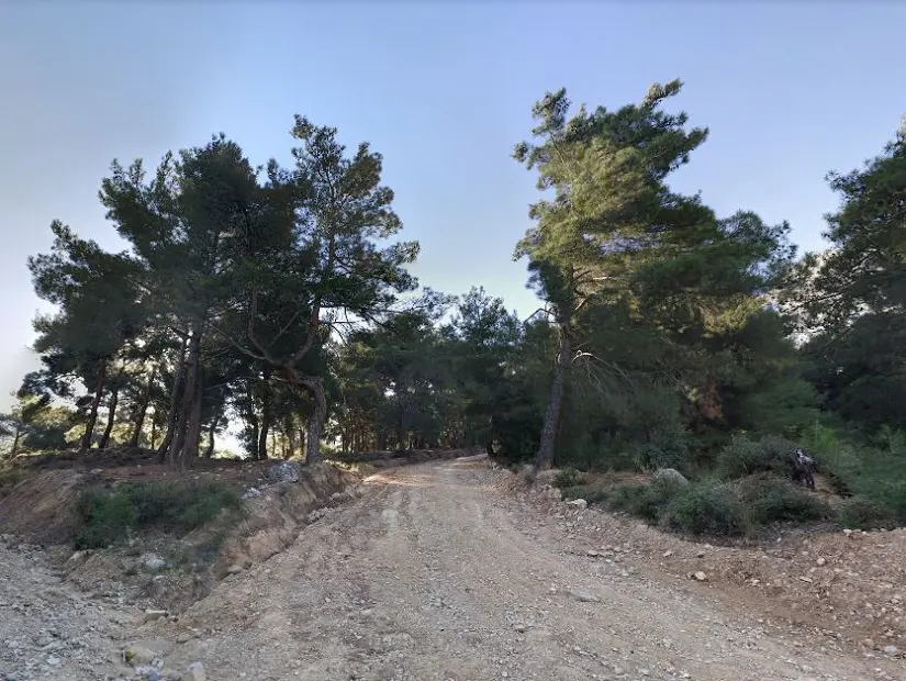 Manisa Kent Ormanı 4