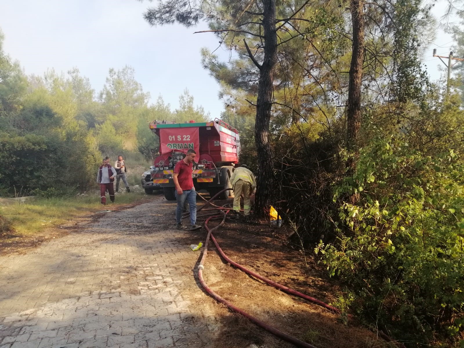 Osmaniye Orman Yangını Müdahale Sürüyor (2)