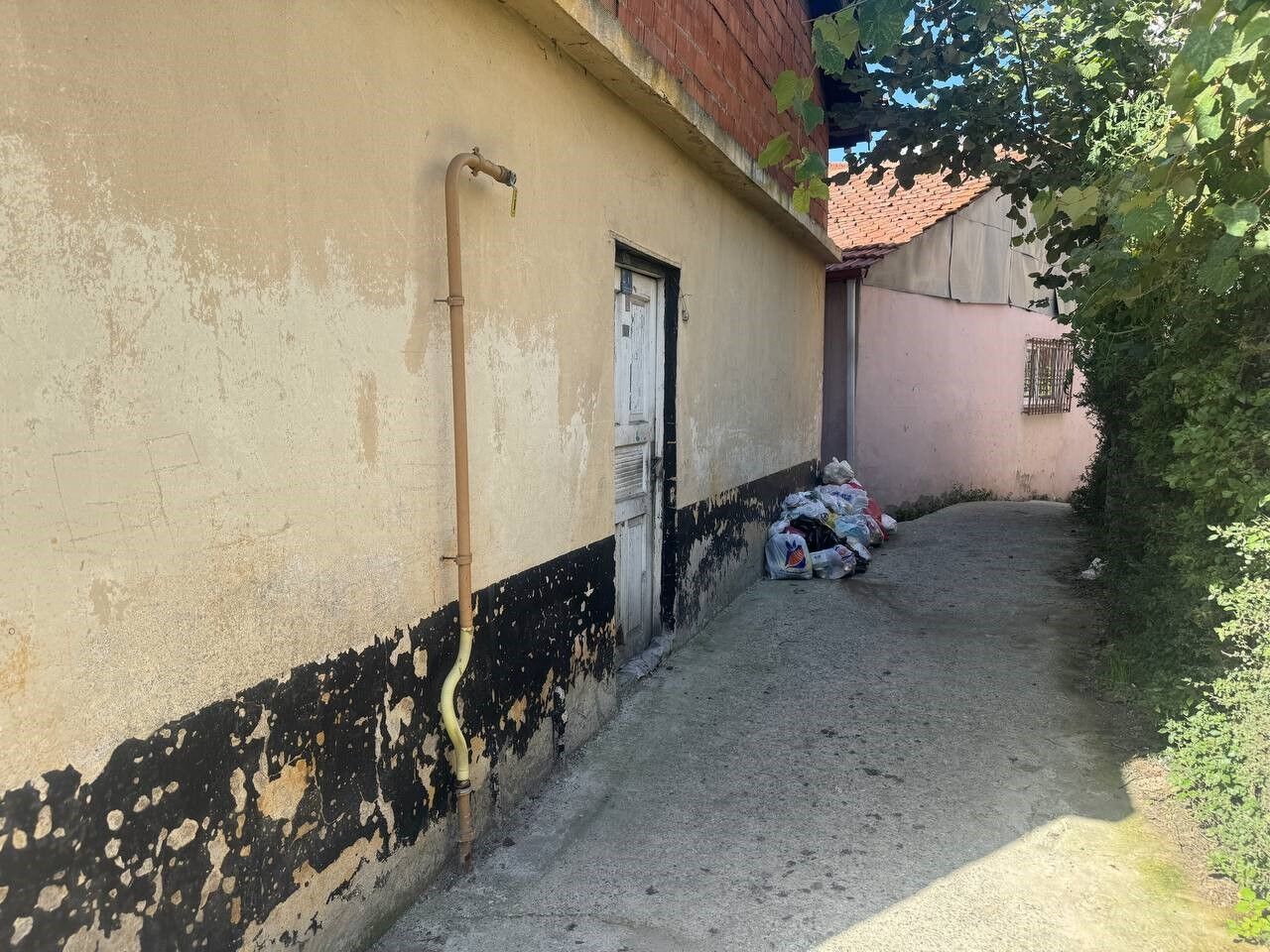 Zonguldak’ta Dehşet Domuz Sanıp Yaşlı Kadını Vurdu1