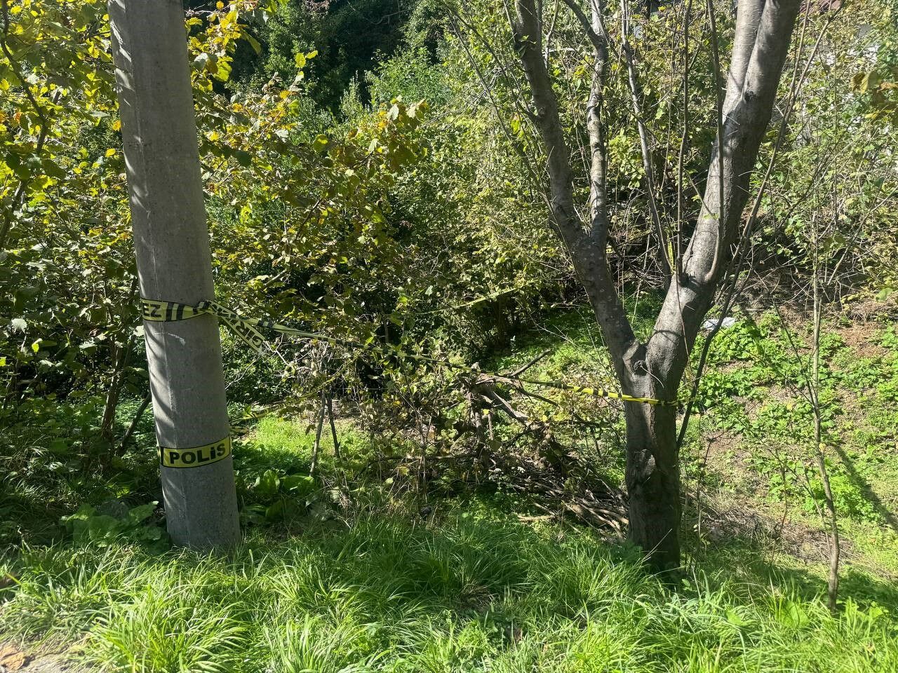 Zonguldak’ta Dehşet Domuz Sanıp Yaşlı Kadını Vurdu2