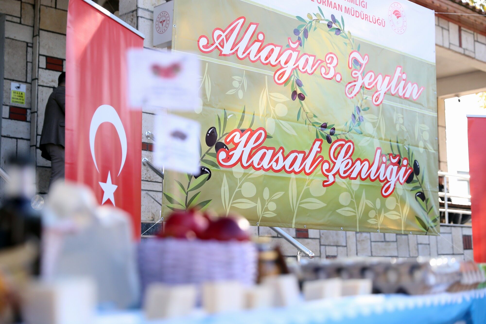 Aliağa’da 3. Zeytin Hasat Şenliği Düzenlendi