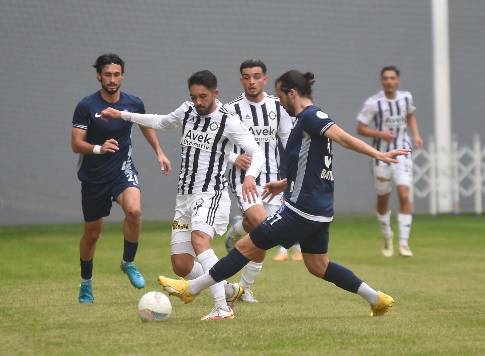 Altay2