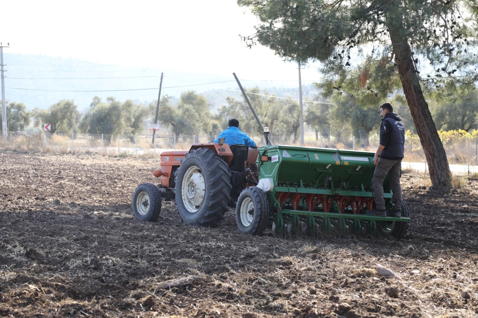 Bodrum Belediyesi Belediyeden Karakilçik Buğday Ekimi (7)