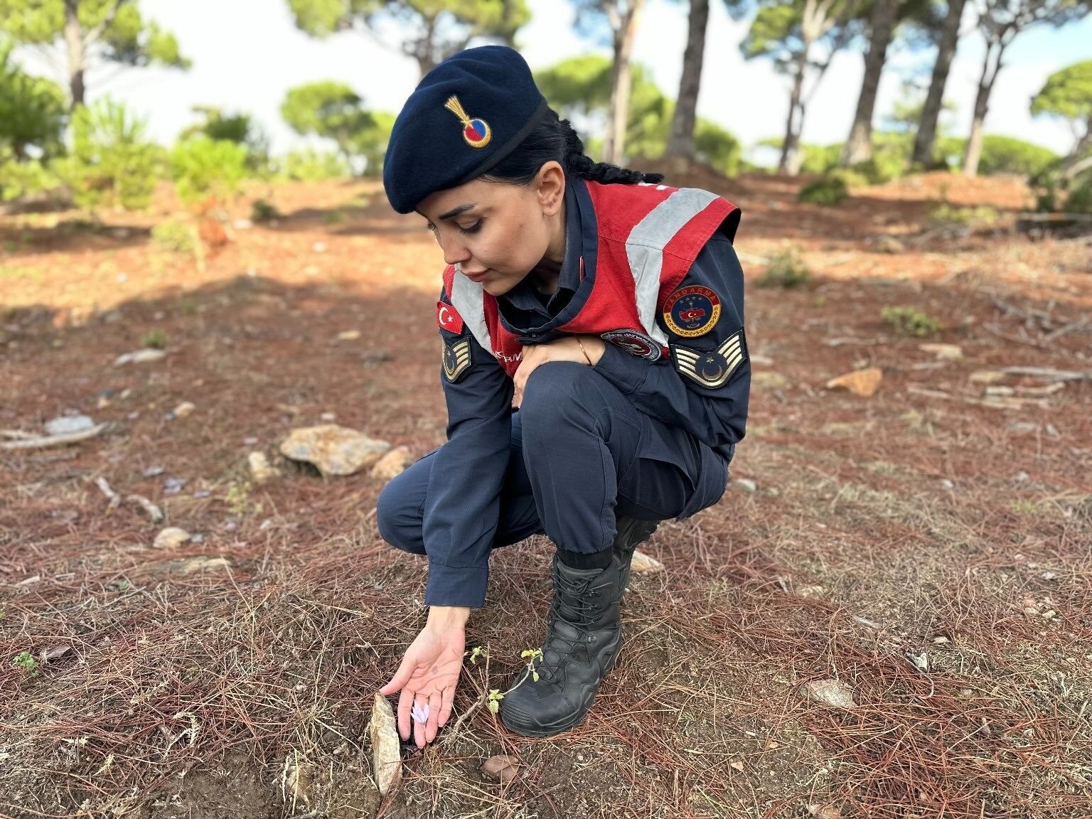 Bu Çiçeği Koparmanın Cezası 387 Bin Lira! (1)