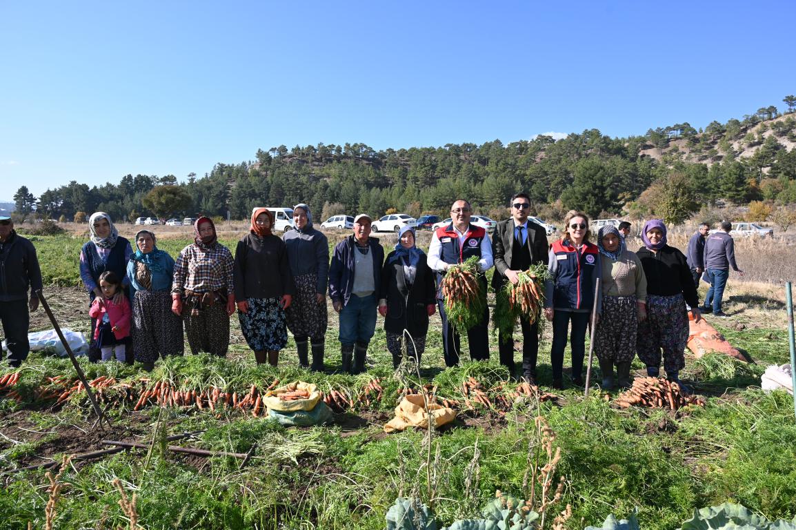 Denizli'nin Havuç Üretiminde Yeni Dönem (1)