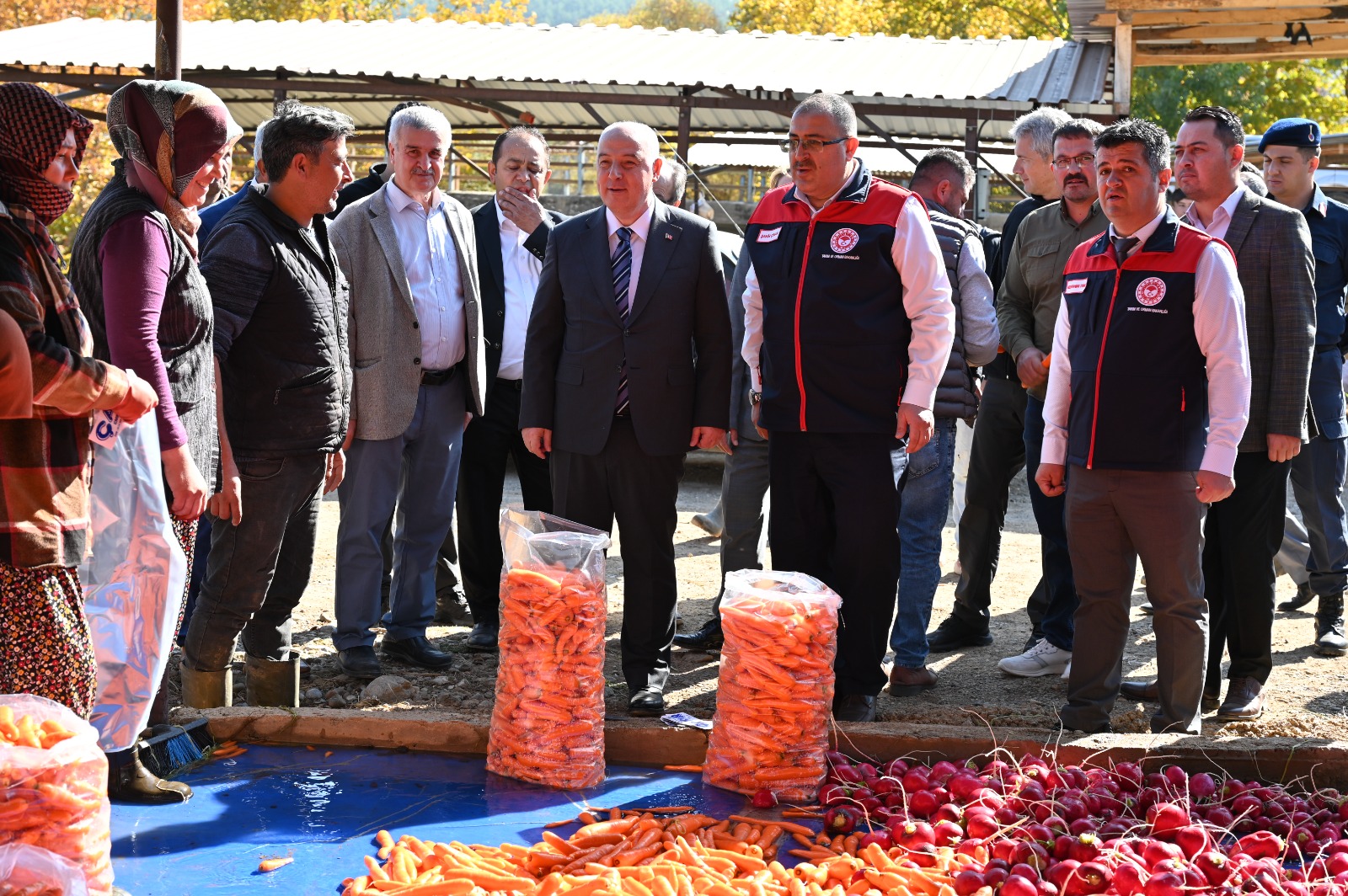 Denizli'nin Havuç Üretiminde Yeni Dönem (2)