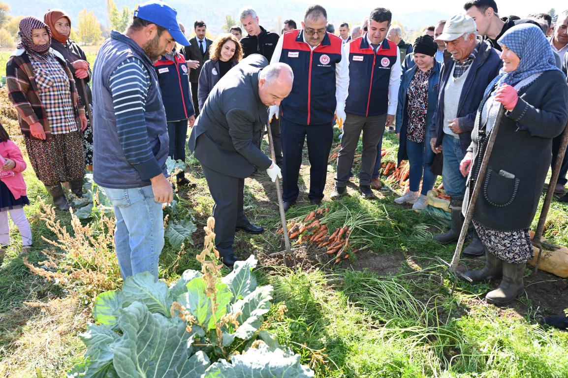 Denizli'nin Havuç Üretiminde Yeni Dönem (7)