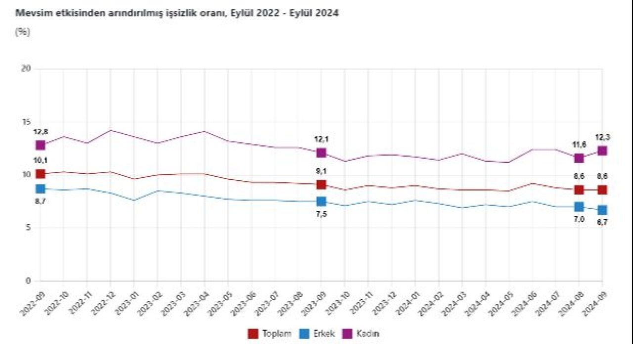 İşsizlikte Son Durum Tüi̇k Eylül 2024 Verilerini Paylaştı (2)-1