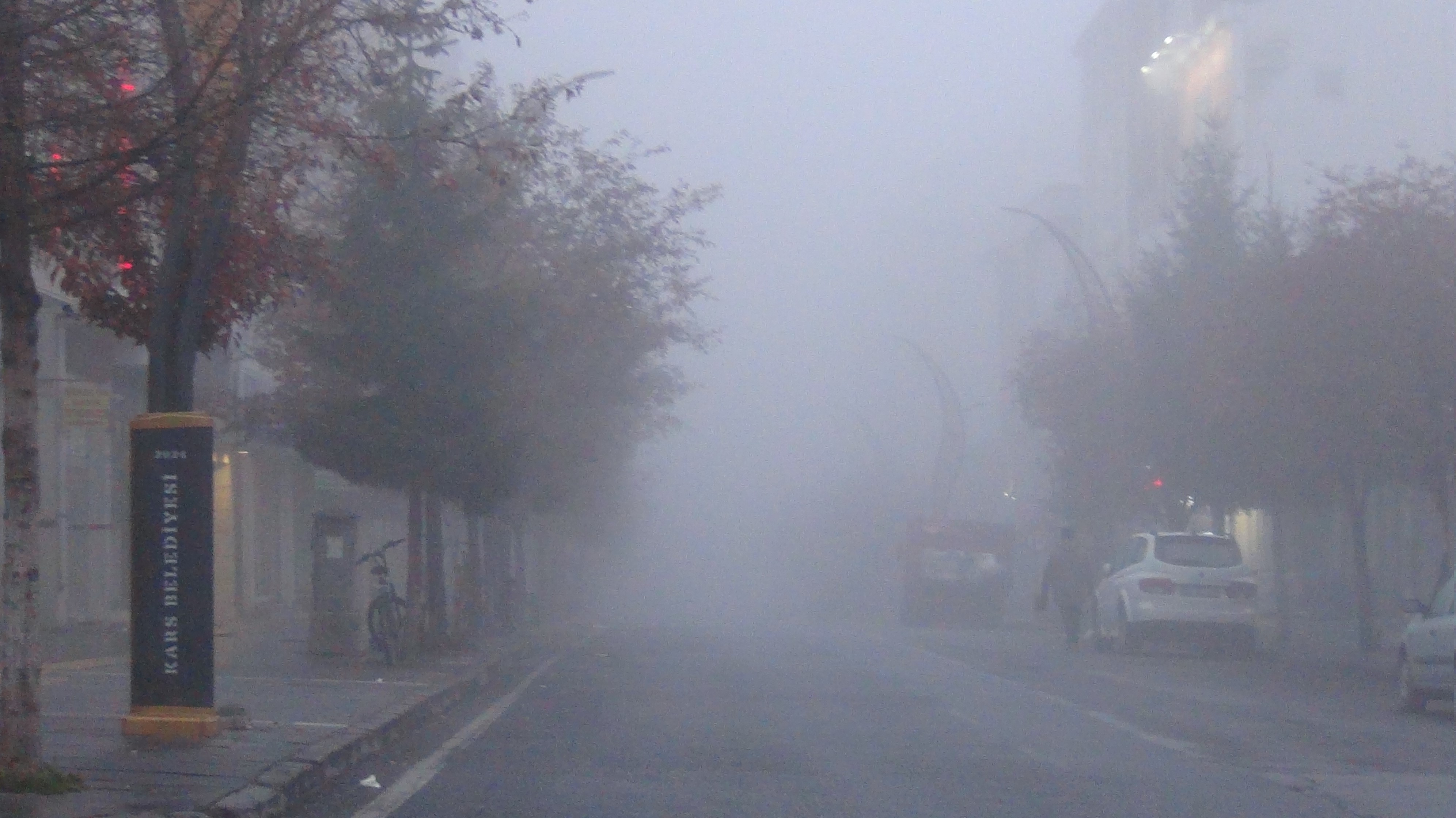 Kars'ta Yoğun Sis Hayatı Felç Etti (2)