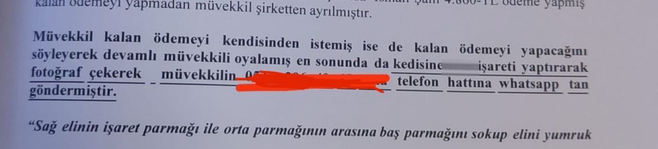 Kediden Şikayetçi Olan Avukat Şoke Etti! İlginç Olay Sosyal Medyada Gündem Oldu 1
