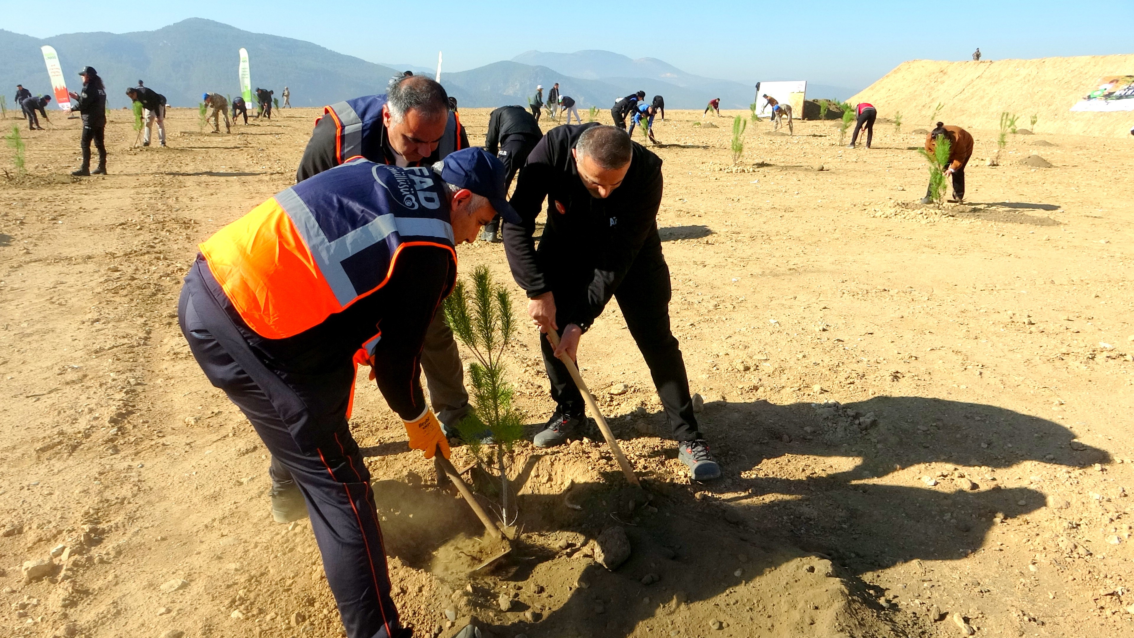 Muğla’da 20 Bin Fidan Toprakla Buluştu (4)