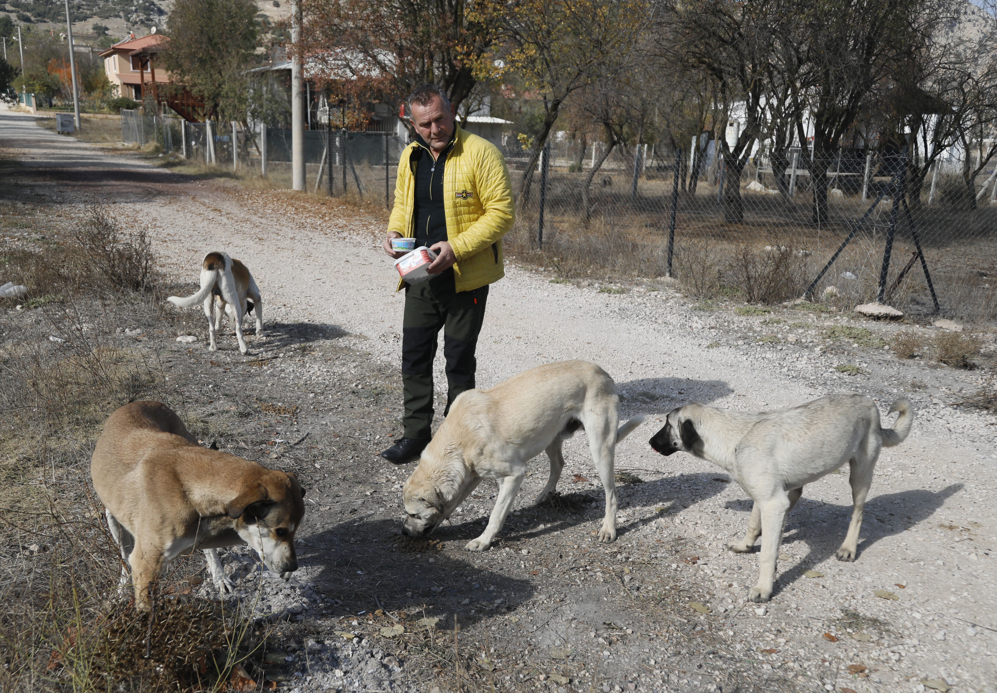 Antalya'da şok eden olay: Komşusunun köpeğini pompalı tüfekle katletti! 