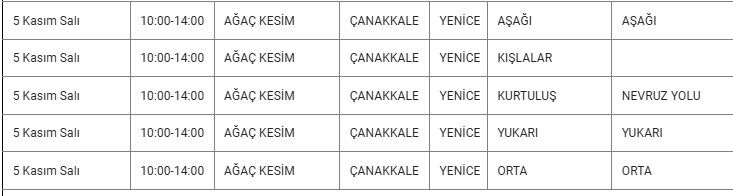 Yenice Kesinti-23