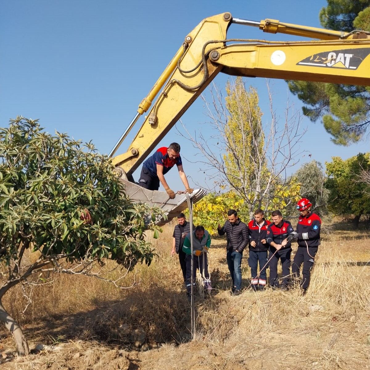 Yılkı Atı Kurtarma (3)