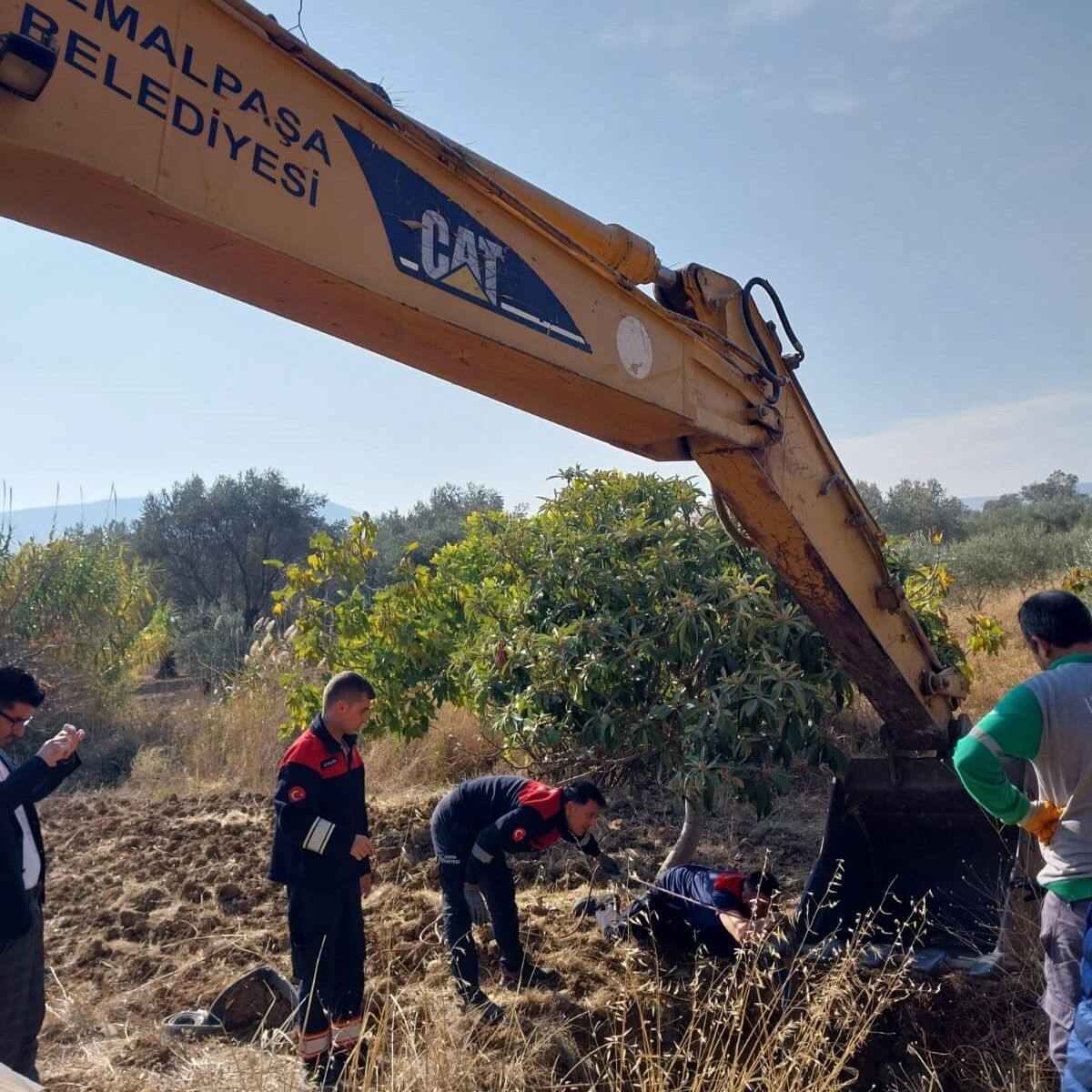 Yılkı Atı Kurtarma (4)