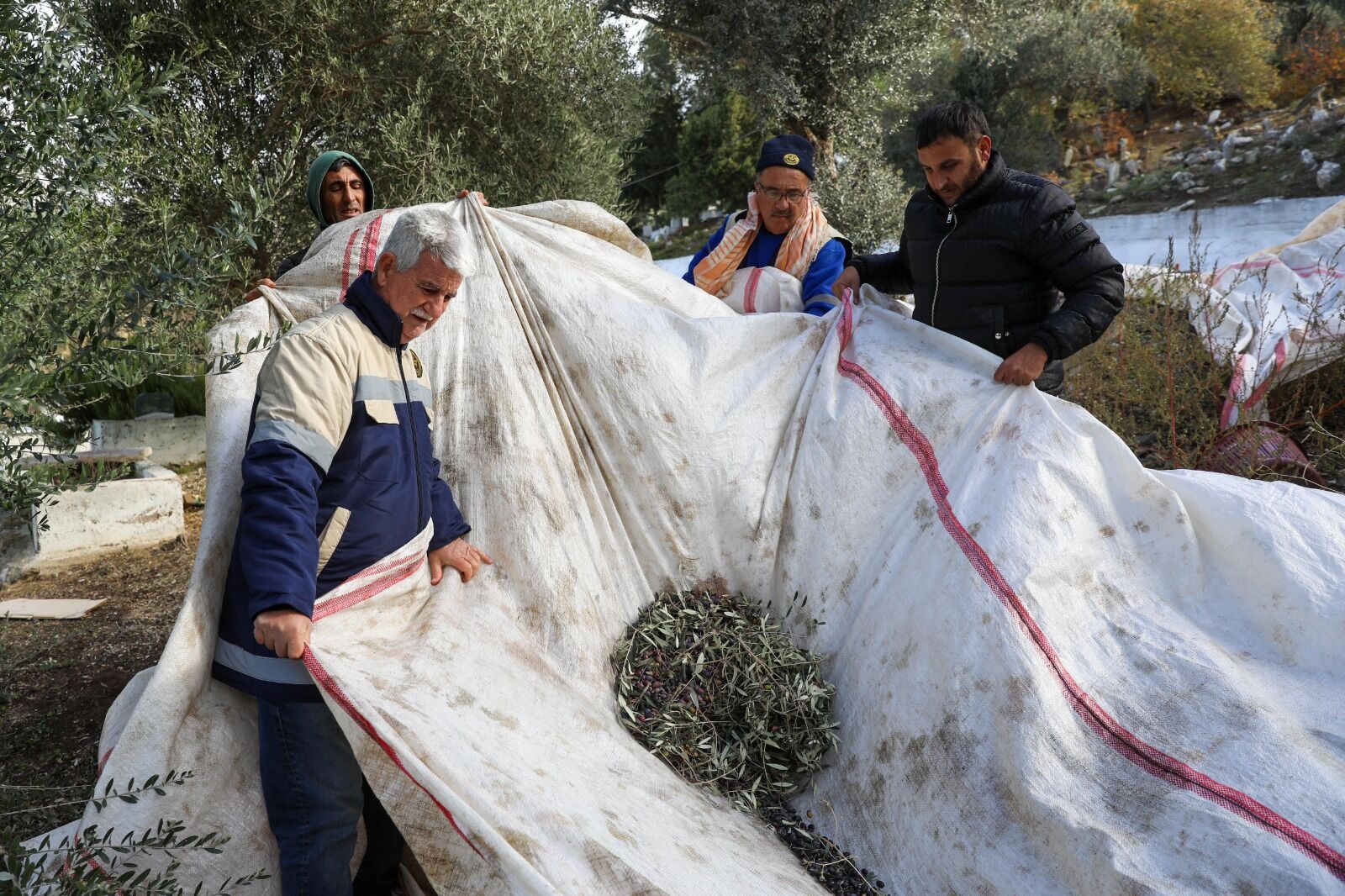 Buca Belediyesi'nin Yetiştirdiği Zeytinler Belediye Lokantası’nda (1)
