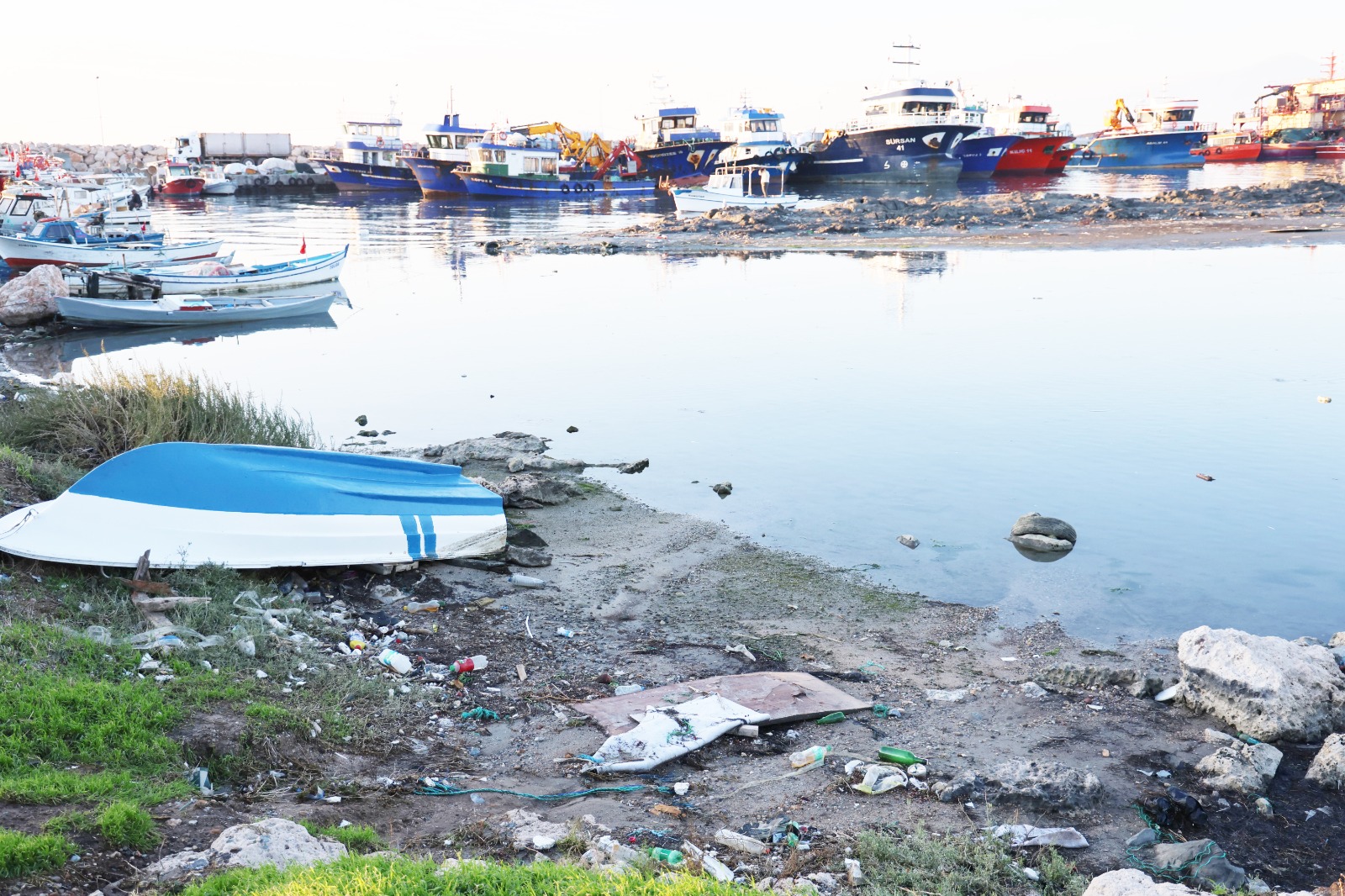 Didim'deki Balıkçı Barınağı'nda Kirlilik Endişesi (2)