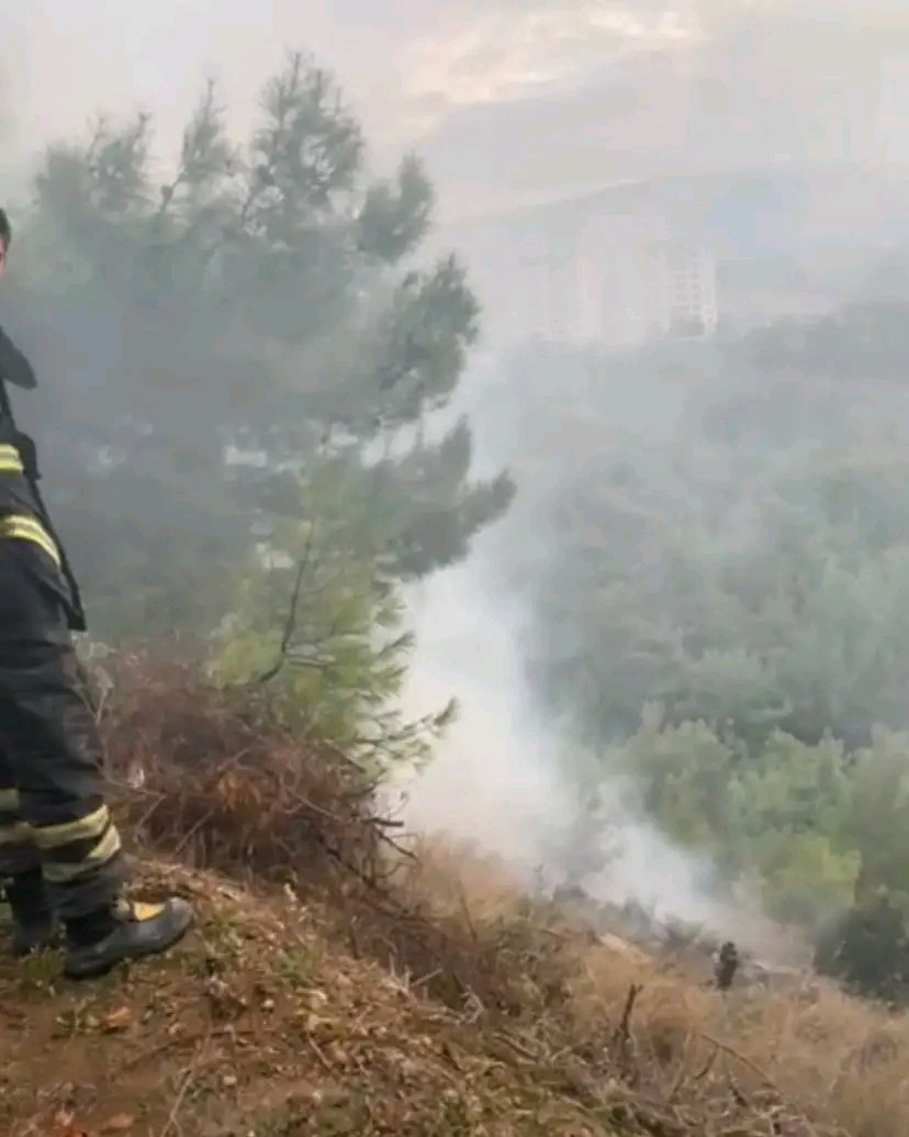 Hatay'da Ormanlık Alanda Yangın (3)