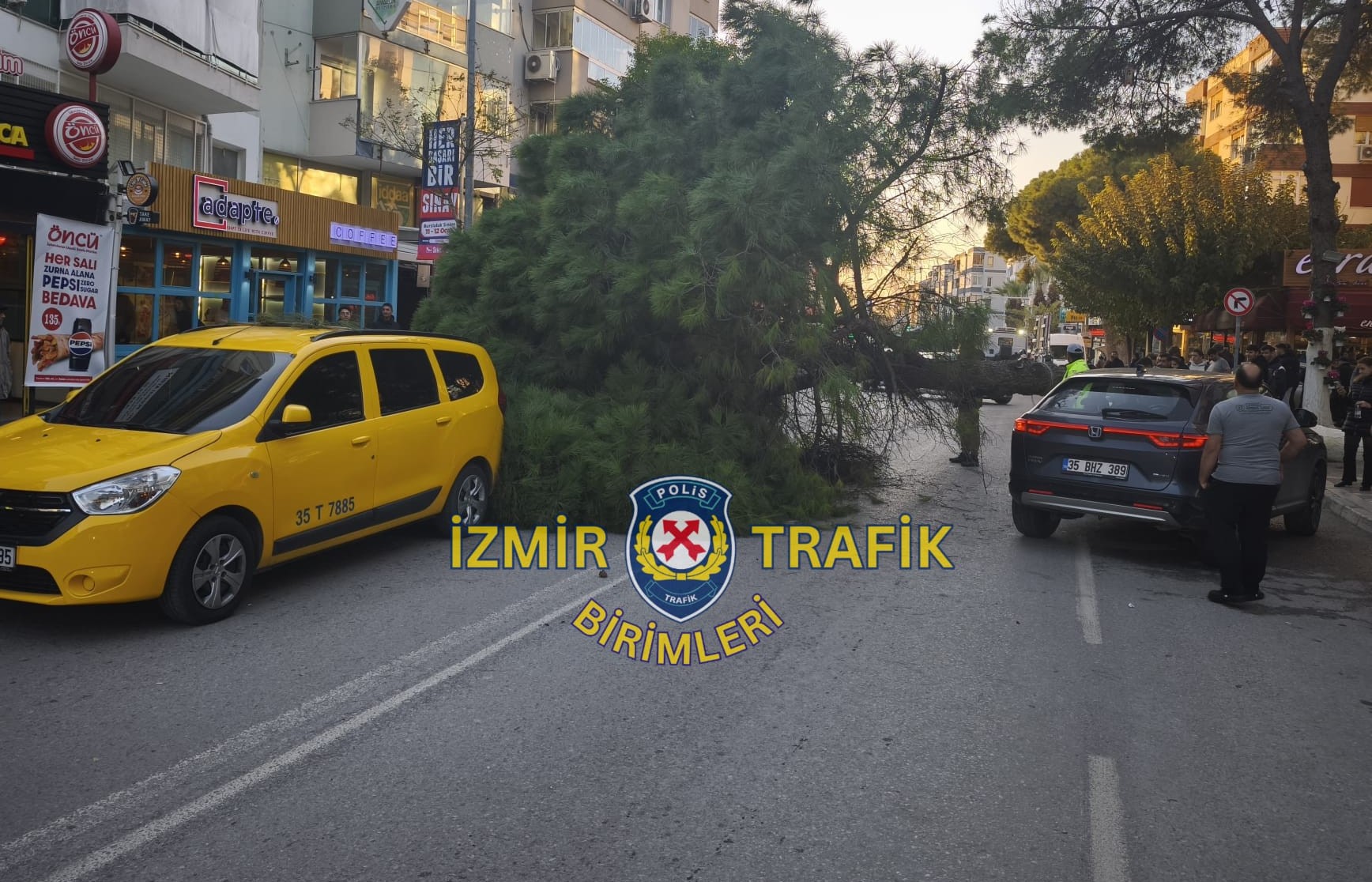 Menderes Caddesi'nde Ağaç Devrildi