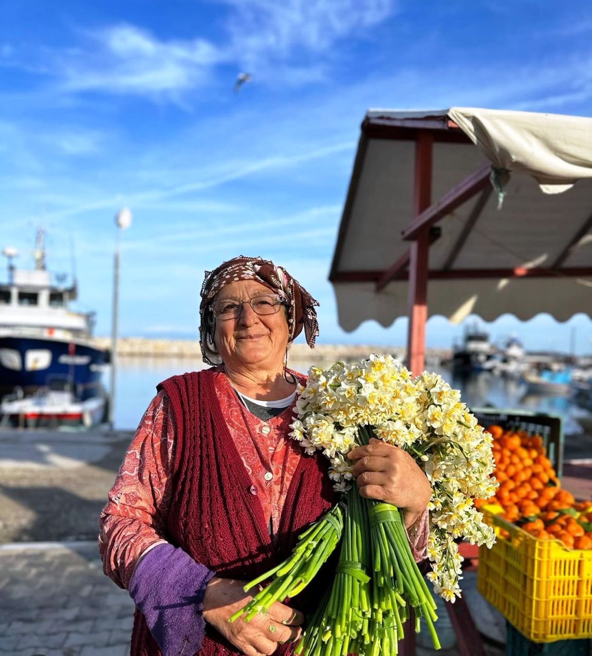 Tarlaya Villa Dikildi Nergisler Göçtü! (2)