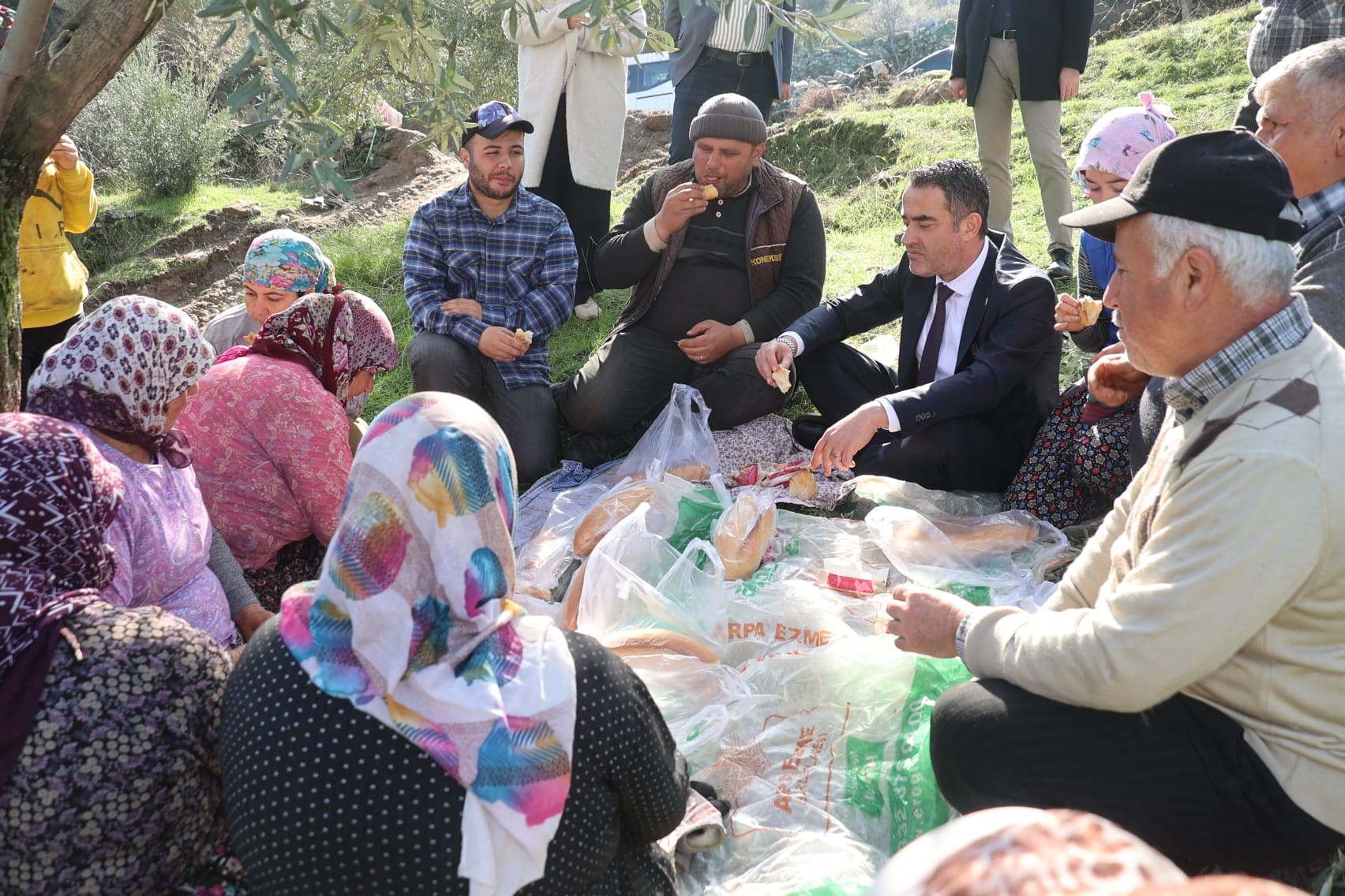 Başkan Özgür Arıcı’dan Zeytin Hasadına Destek (4)